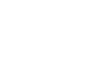 SPOT-Logo-wit